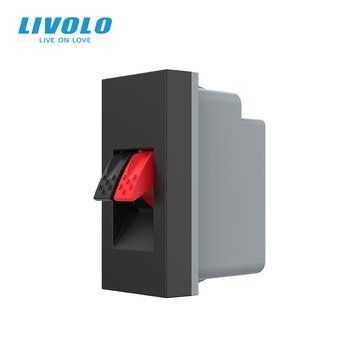 Механізм розетка Hi-Fi аудіо Livolo чорний (VL-FCSD-1BPS01) VL-FCSD-1BPS01 фото