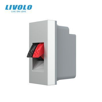 Механізм розетка Hi-Fi аудіо Livolo сірий (VL-FCSD-1IPS01) VL-FCSD-1IPS01 фото