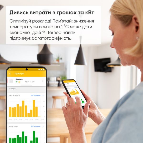 Терморегулятор Wi-Fi у розетку terneo rzx 1874391174 фото