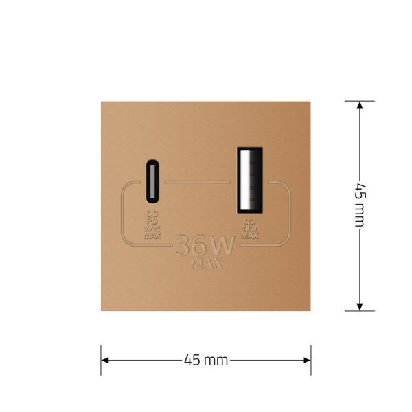 Механізм розетка USB-A та USB-C з Power Delivery 36W Livolo золотий (VL-FCUA18W.UC18W-2AP) VL-FCUA18W.UC18W-2AP фото