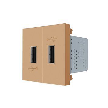 Механізм подвійна розетка USB з блоком живлення Livolo золото (VL-FCUA-2AP) VL-FCUA-2AP фото
