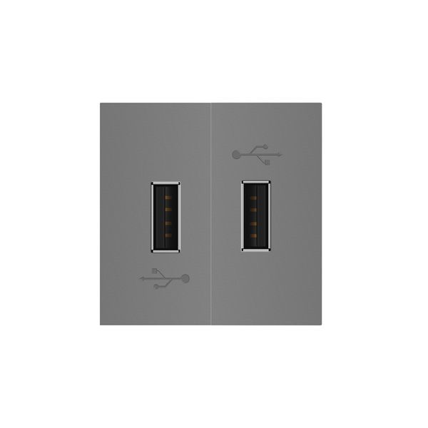 Механізм подвійна розетка USB з блоком живлення Livolo сірий (VL-FCUA-2IP) VL-FCUA-2IP фото
