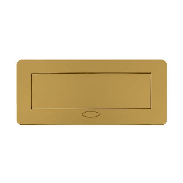 Меблева розетка з плавним відкриттям, USB Type-C Power Delivery 45W Livolo чорний в золотому (VL-SHS013-TC-UC45W-BP-A) VL-SHS013-TC-UC45W-BP-A фото