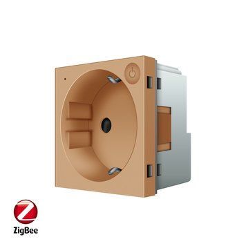 Розумний механізм розетка ZigBee з заземленням Livolo золото (VL-FCTC16AZ-2AP) 784000813 фото