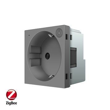 Розумний механізм розетка ZigBee з заземленням Livolo сірий (VL-FCTC16AZ-2IP) 784000815 фото